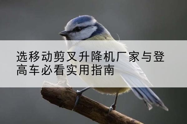 花溪电动升降机厂家-选移动剪叉升降机厂家与登高车必看实用指南