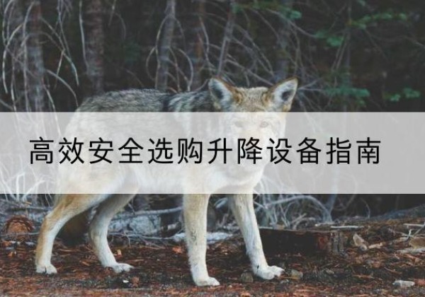 花溪升降货梯厂家推荐-*安全选购升降设备指南