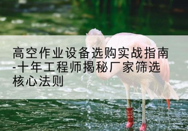 花溪剪叉式升降机厂家-高空作业设备选购实战指南-十年工程师揭秘厂家筛选核心法则